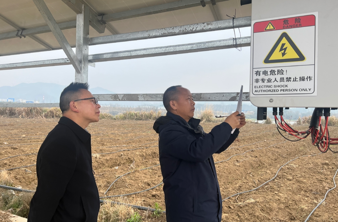 中方县2023年度移民“光伏+”产业项目通过验收