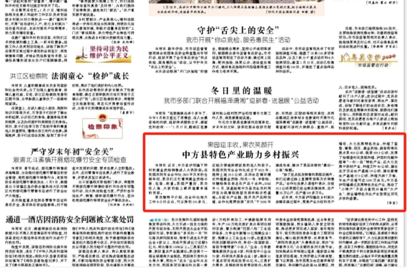 怀化日报|果园迎丰收，果农笑颜开  中方县特色产业助力乡村振兴