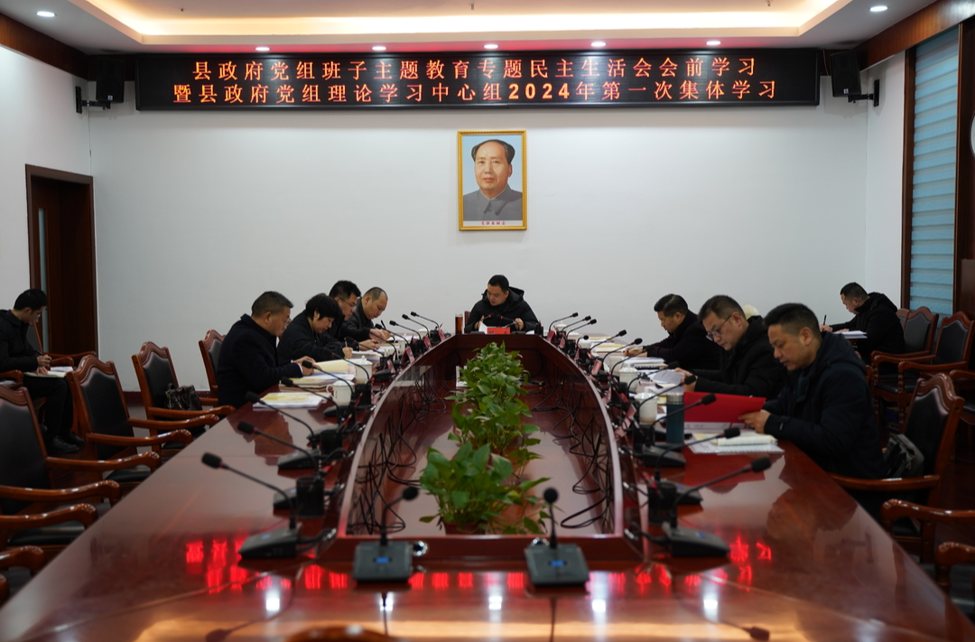 胡杰主持召开县政府党组班子主题教育专题民主生活会会前学习暨县政府党组理论学习中心组2024年第一次集体学习