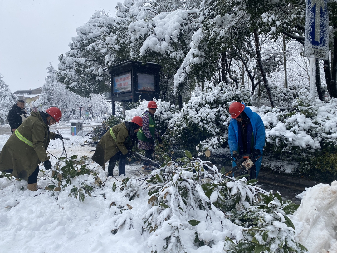 中方县城管执法局：积雪压断树枝 园林绿化忙清理