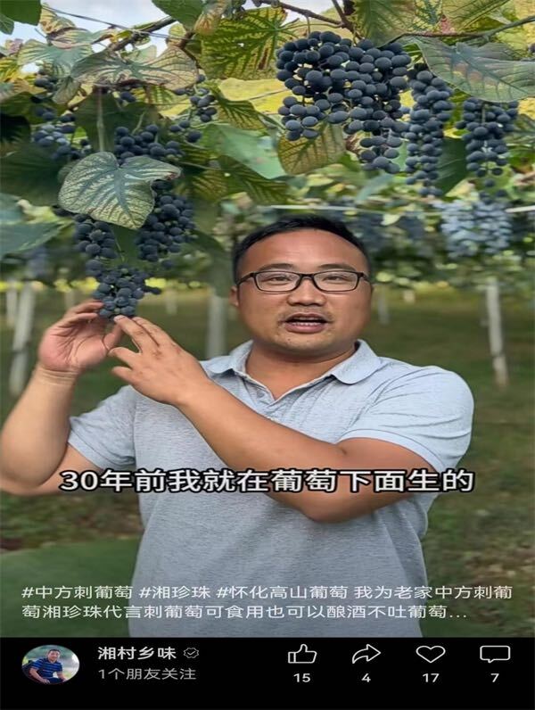 中方人｜伍育军：“新农人” 助力“湘货出山”