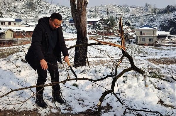 中方县桐木镇：加强重点路段隐患排查 保障雪天道路交通安全