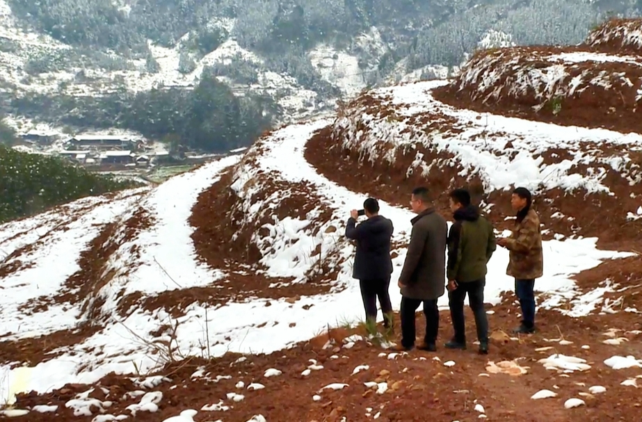 雪霜茂茂，蕾蕾于冬——中方县耕地保护工作纪实