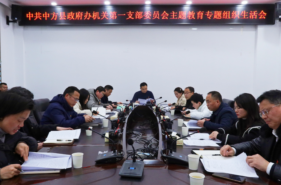 胡杰以普通党员身份参加所在党支部专题组织生活会