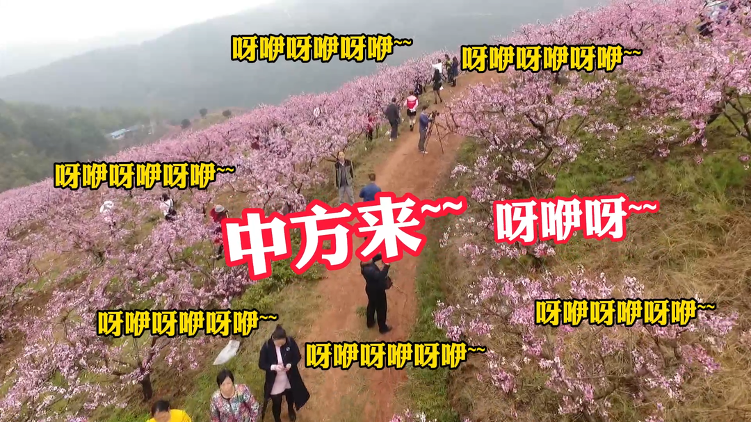 视频|帮中方上波大分，欢迎大家过年来中方玩！