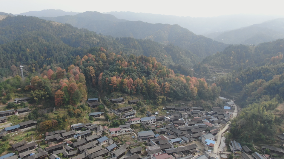 中方：学好用好“千万工程”经验 让“和美乡村”增“颜值” 有“内涵” 提“气质”