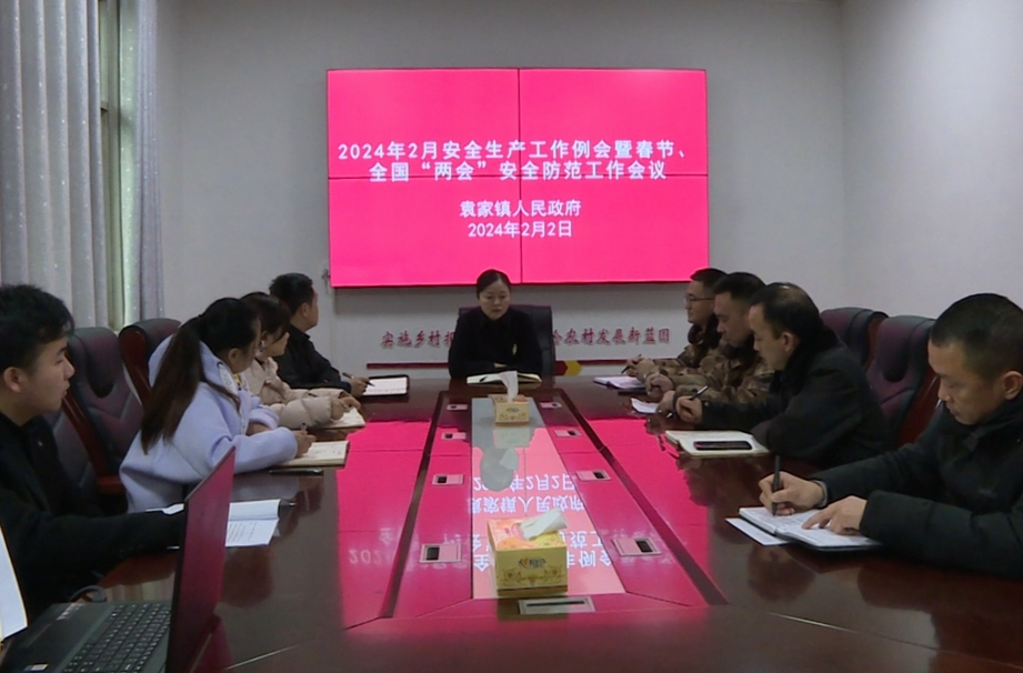 刘佳到袁家镇检查安全生产工作