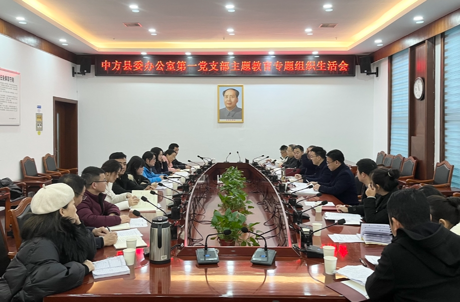 张家铣以普通党员身份参加党支部主题教育专题组织生活会