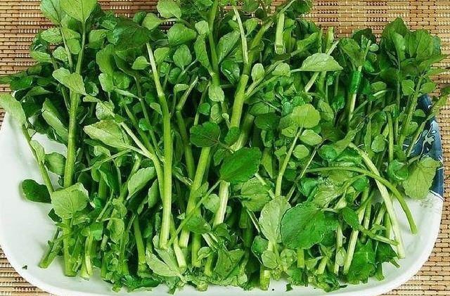 专家不建议生食水生蔬菜 有感染肝片形吸虫病风险