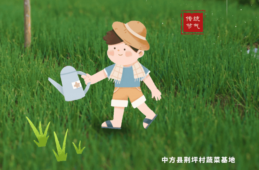 动态海报|二十四节气里的中方·雨水