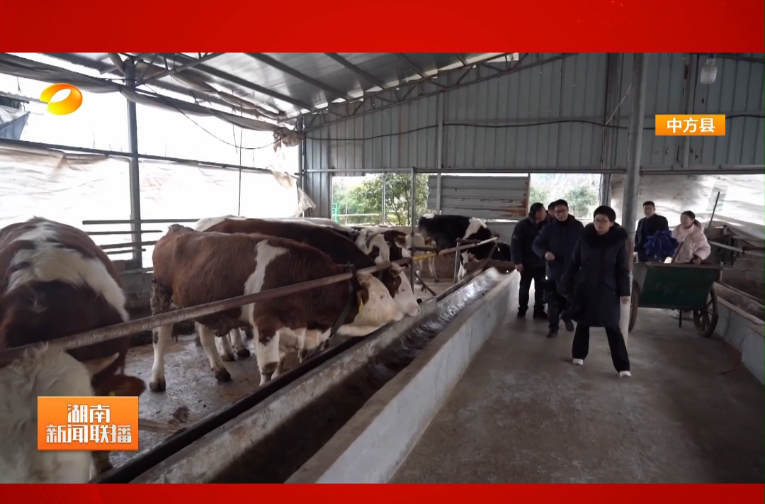 湖南新闻联播|应对低温雨雪冰冻天气 湖南全力以赴战冰冻保民生