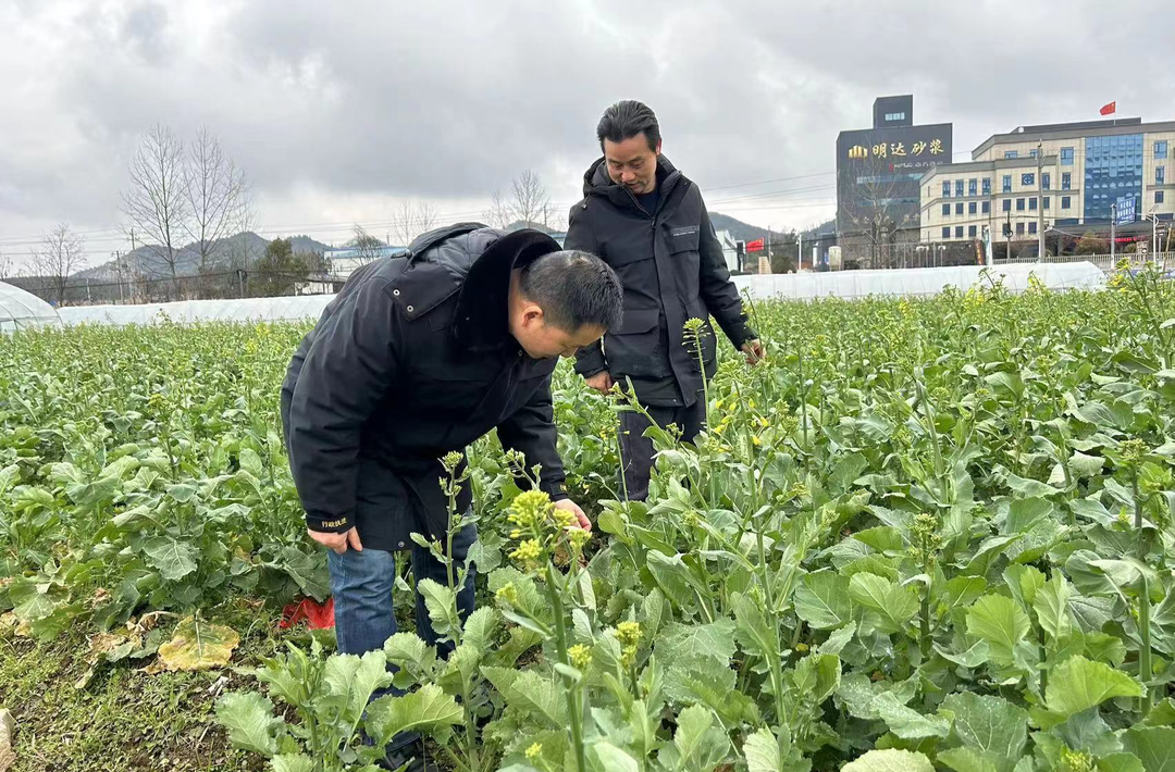 科学应对低温雨雪冰冻天气|勠力同心 中方县多部门联动全力应对低温雨雪冰冻天气