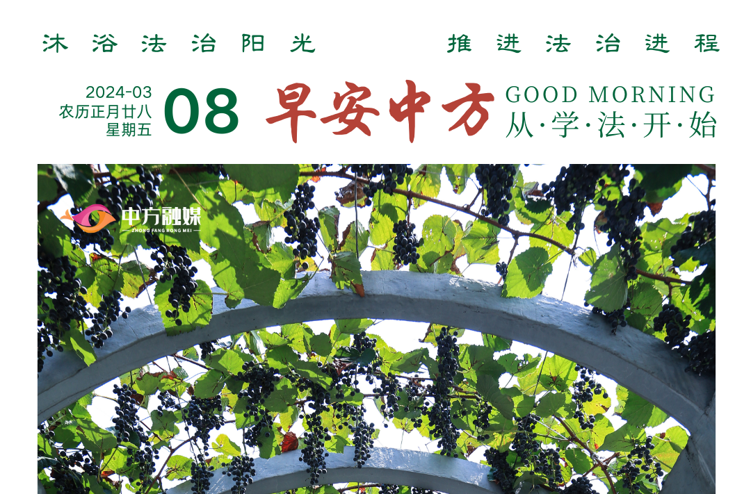 海报|早安中方·从学法开始（37）
