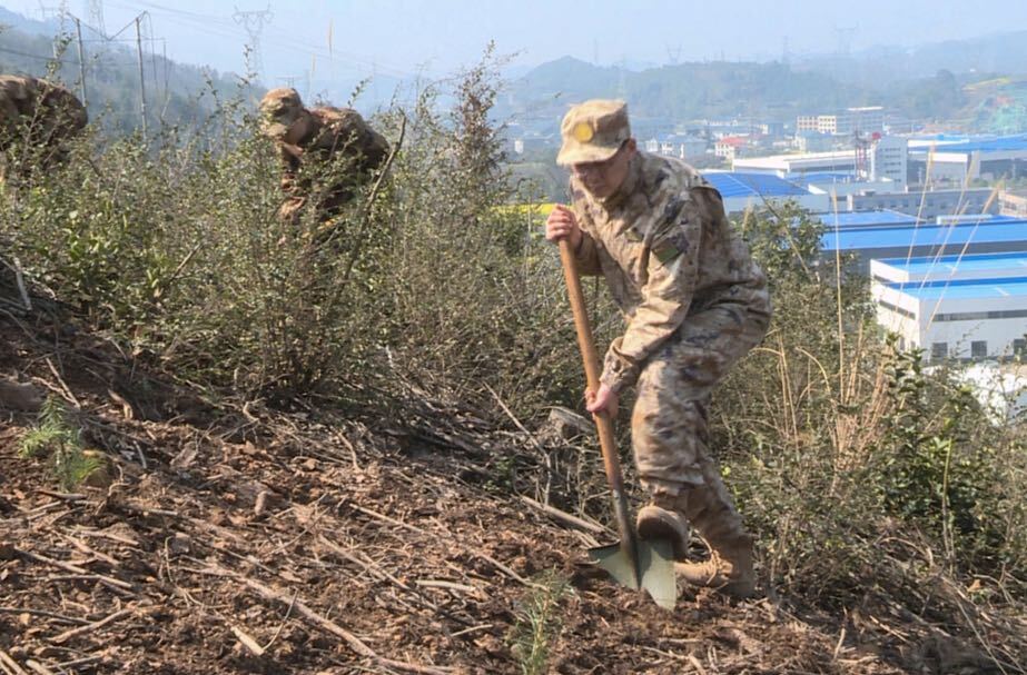 中方县人武部：组织预定新兵参加植树活动