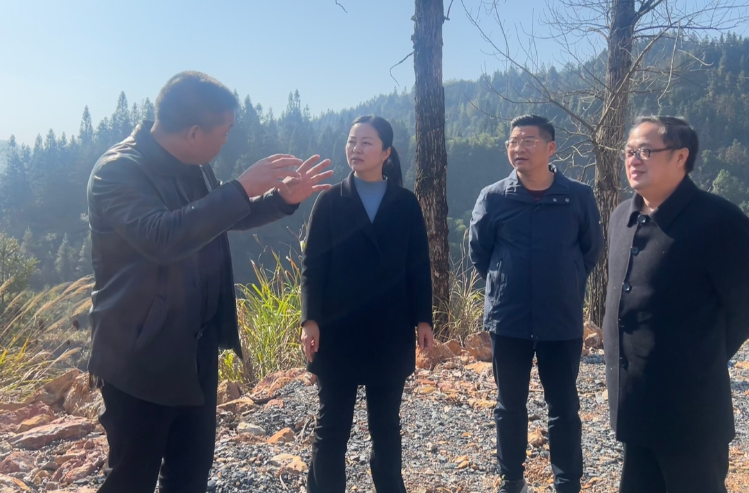 链长到一线|刘佳到铜湾镇调研黄溪乡村振兴连片推进项目建设工作