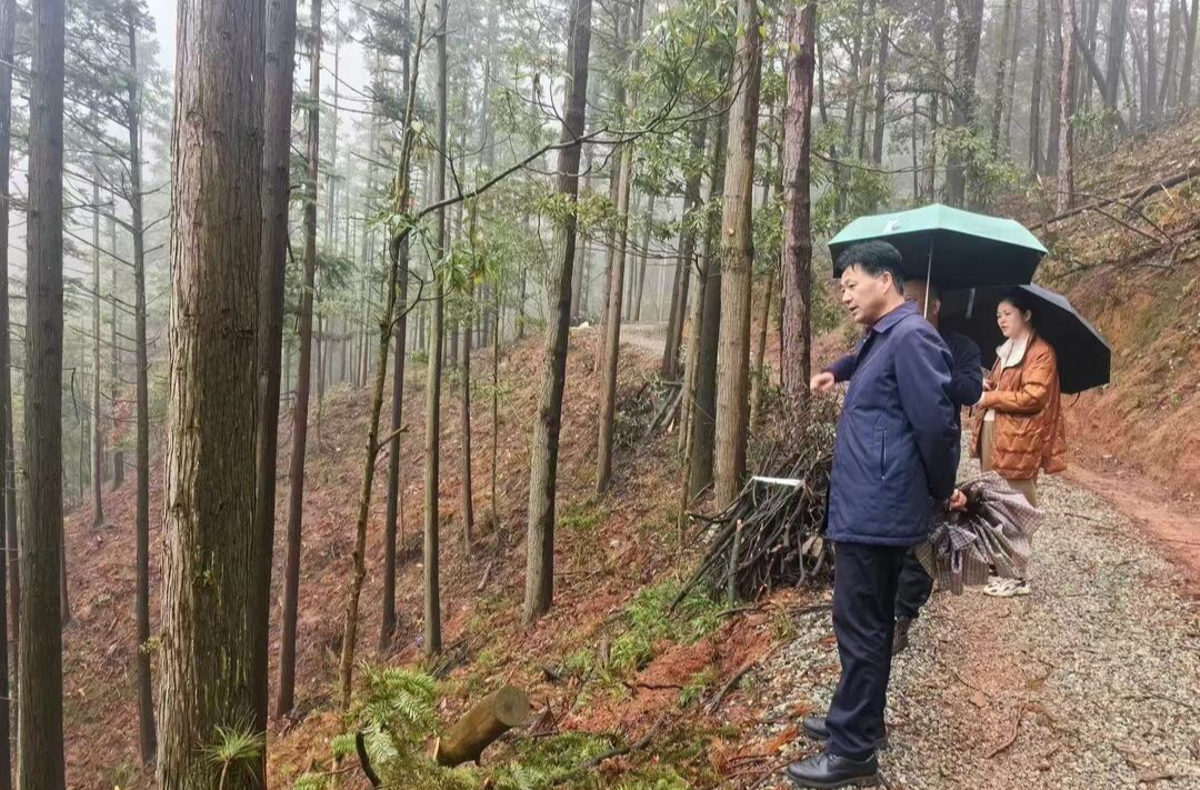 中方县林业局组织工作人员到湖南中坡国家森林公园学习森林质量精准提升经验