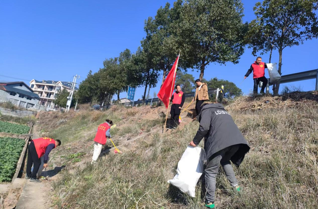 中方县铜鼎镇铜鼎村：让党旗在农村人居环境整治一线高高飘扬
