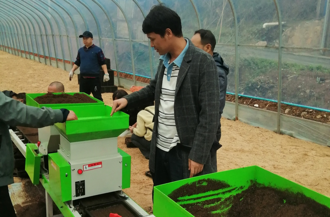 中方：机械化育秧助力春耕生产