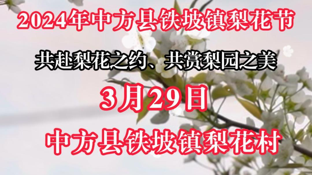 视频|“继网开来·链动怀化”——3月29日中方县铁坡镇梨花节等你来！