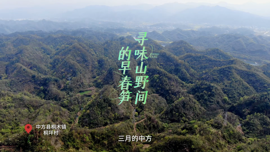 视频|中方：寻味山野间的早春竹笋