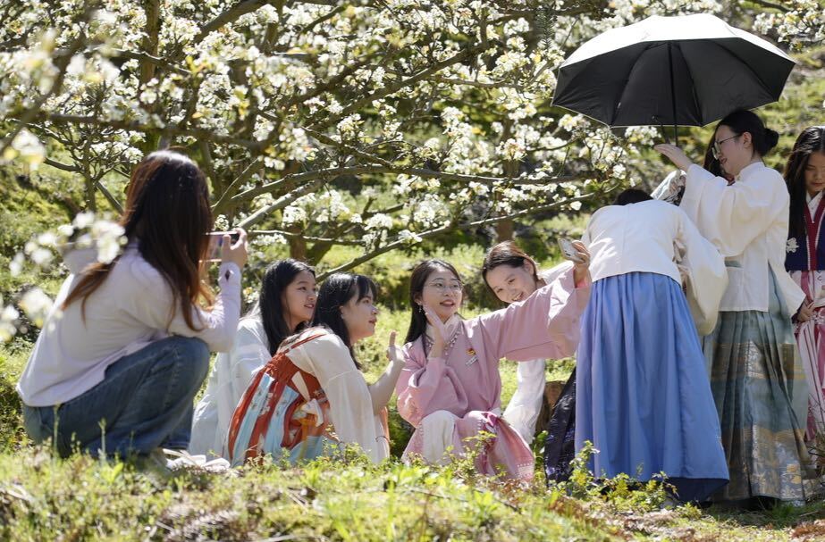 中方县举办雪峰山·中方县第二届梨花节