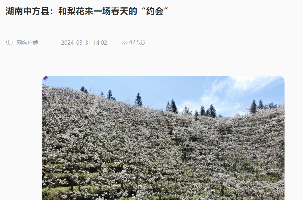 央广网|湖南中方县：和梨花来一场春天的“约会”