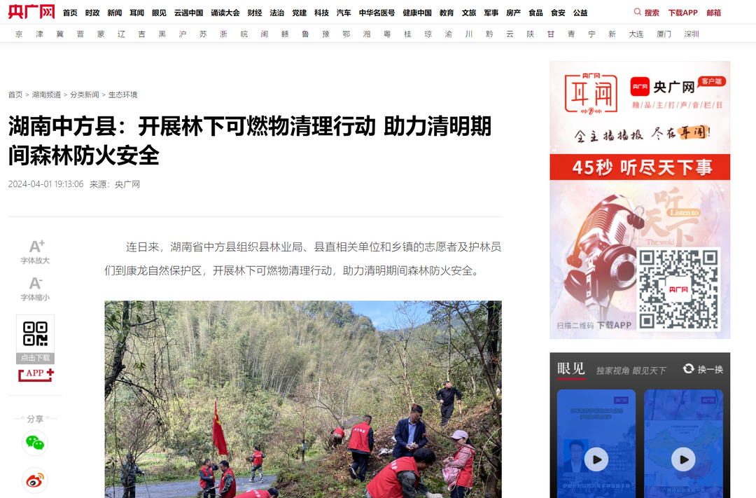 央广网|湖南中方县：开展林下可燃物清理行动 助力清明期间森林防火安全