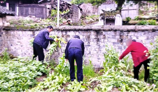 铲除非法种植罂粟 中方铜鼎在行动