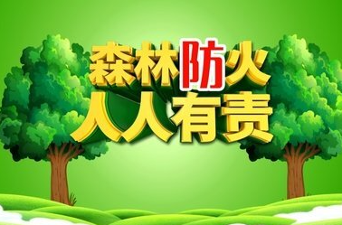 安全科普 | 森林火灾高发期，防火要当先！