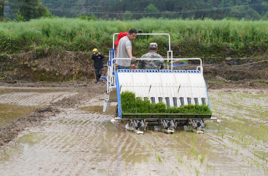 鼓励机械化作业，中方县：举办水稻机械化育插秧技术现场观摩会