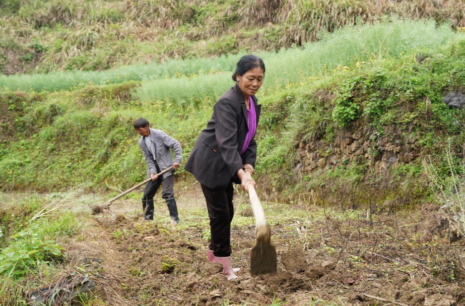 耕地保护 中方行动|中方县新建镇：奋进春天里 耕地焕生机