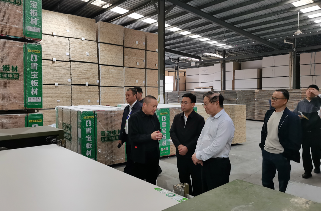 链长到一线|杨秀芳带队调研指导中方县新材料产业链项目建设工作