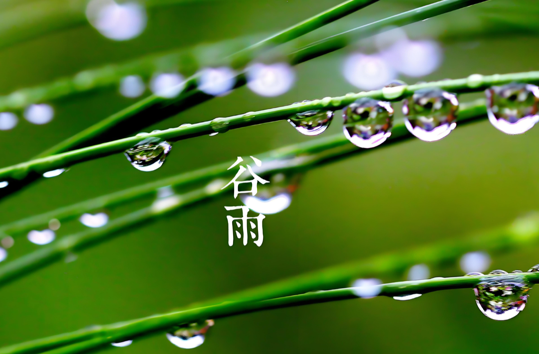 谷雨：好雨知时节，当春乃发生