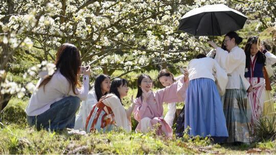 从“一季花”到“四季景”“赏花经济”助力中方文旅市场实现首季“开门红”