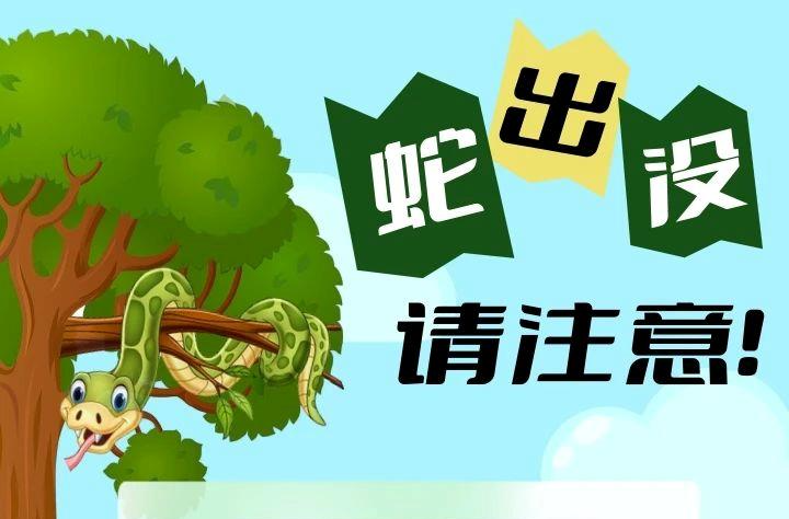 安全科普 | “蛇出没”，别慌张！这些防蛇小技巧请收好