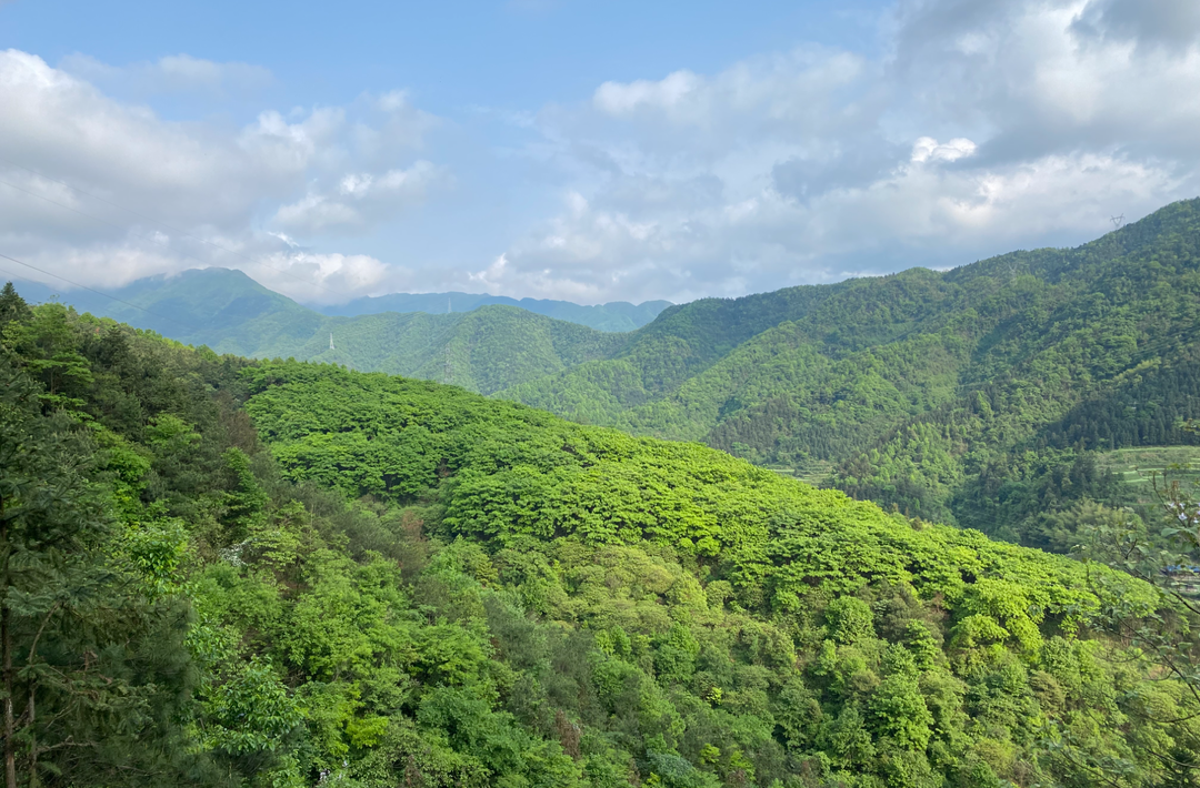 中方县：筑牢安全防线  守好金山银山