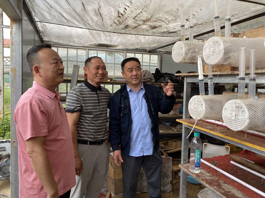 中方县林业局：助推林下经济发展  优化营商环境
