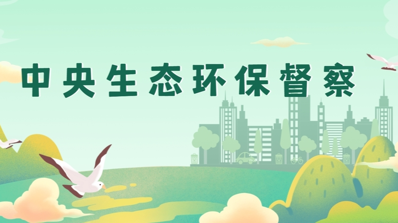 专题|中央生态环保督察