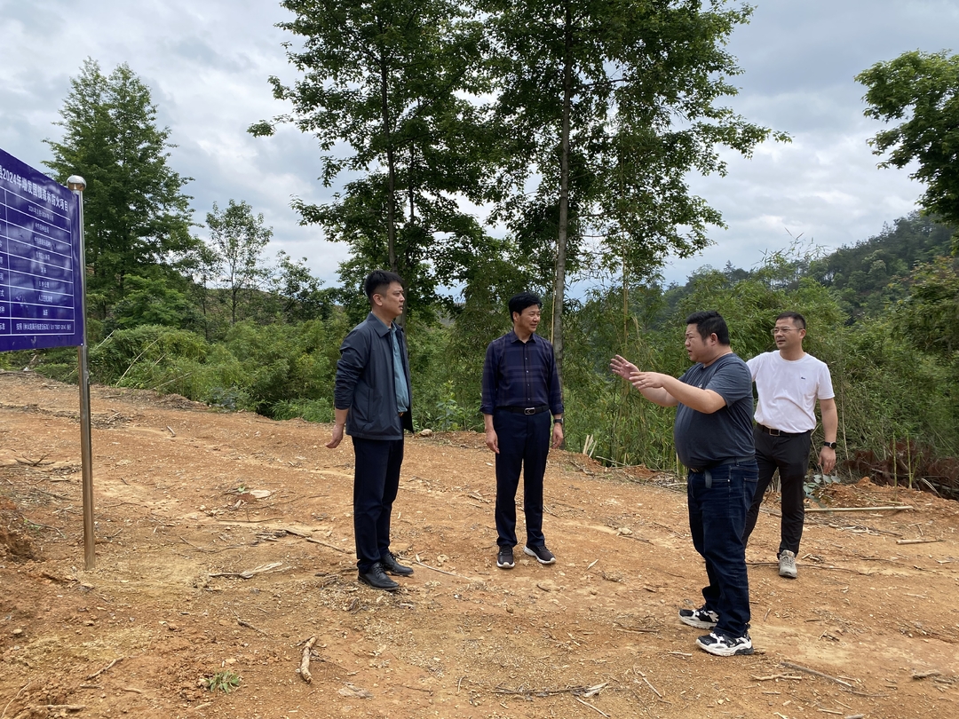 省林业局调研组到中方县调研森林防火国债项目和两年行动工作