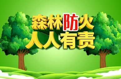 安全科普 | 30秒搞懂什么是森林火灾