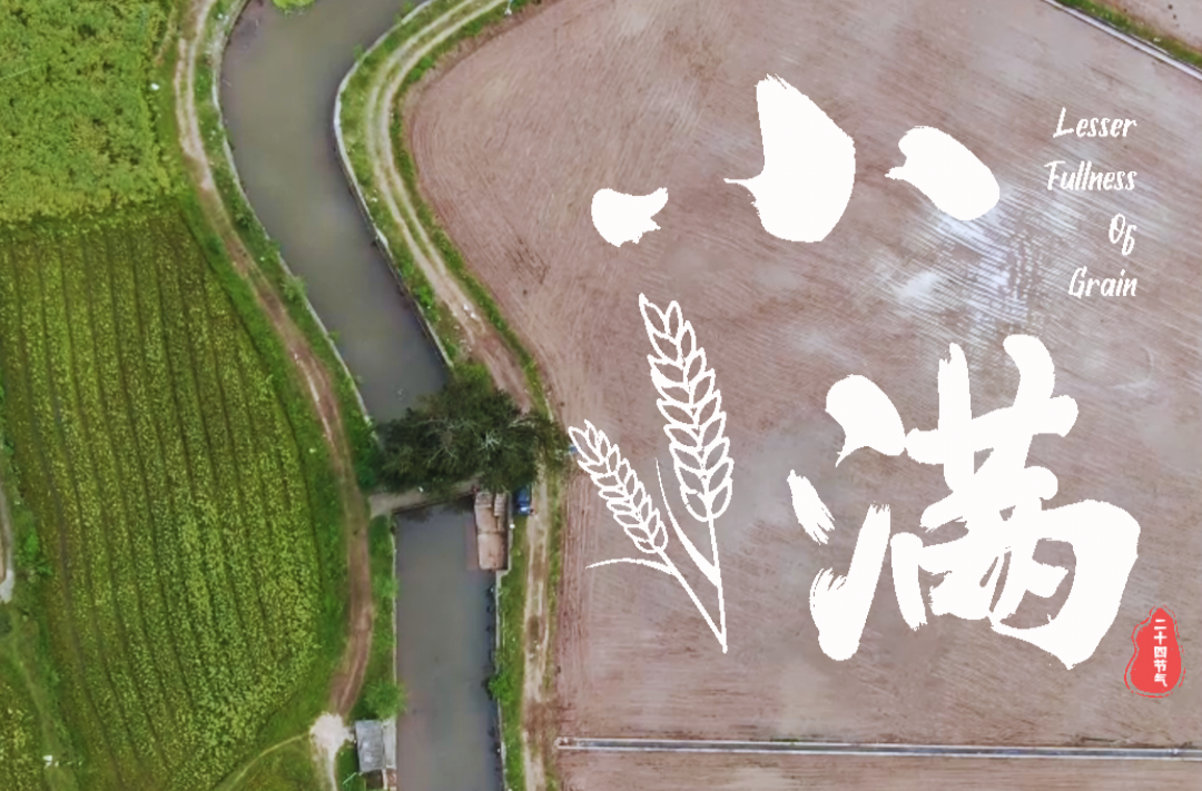 动态海报 | 二十四节气里的中方·小满