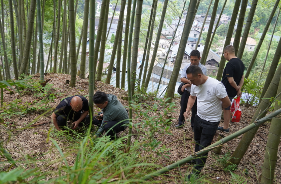 巡查新发现一处山体裂缝！中方县自然资源局迅速行动