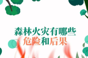 安全科普 | 森林火灾有哪些危险和后果