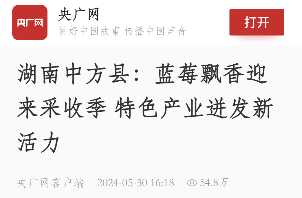 央广网|湖南中方县：蓝莓飘香迎来采收季 特色产业迸发新活力