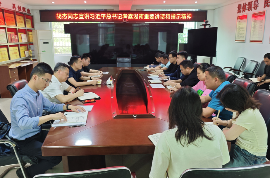 胡杰到乡镇宣讲习近平总书记考察湖南重要讲话和指示精神并督导检查环保问题整改、地质灾害点防治、防汛备汛等工作