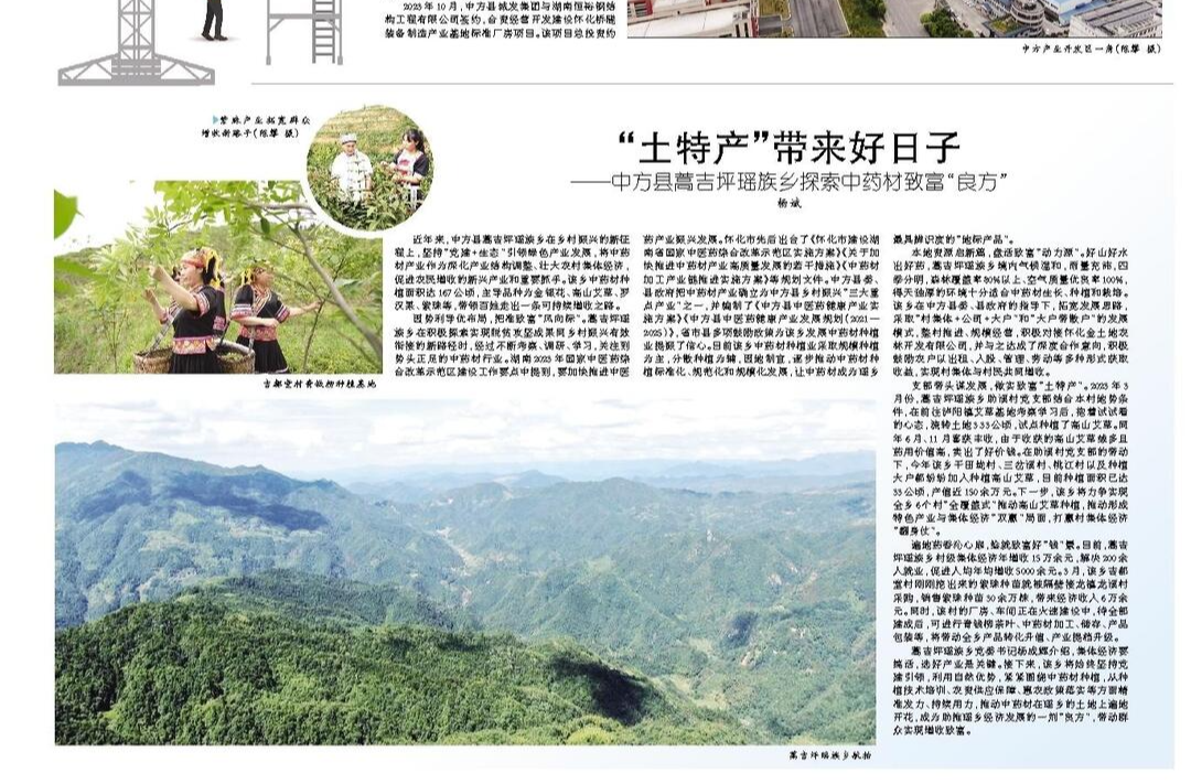 怀化日报|“土特产”带来好日子 ——中方县蒿吉坪瑶族乡探索中药材致富“良方”