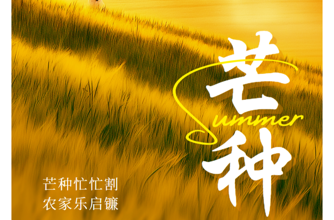 海报|早安中方·从学法开始（126）