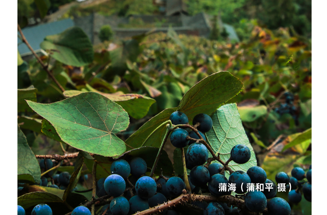 海报|早安中方·从学法开始（124）