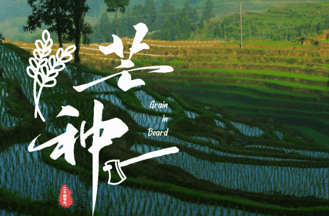 动态海报 | 二十四节气里的中方·芒种