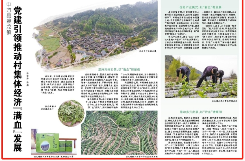 怀化日报|中方县接龙镇党建引领推动村集体经济“满血”发展
